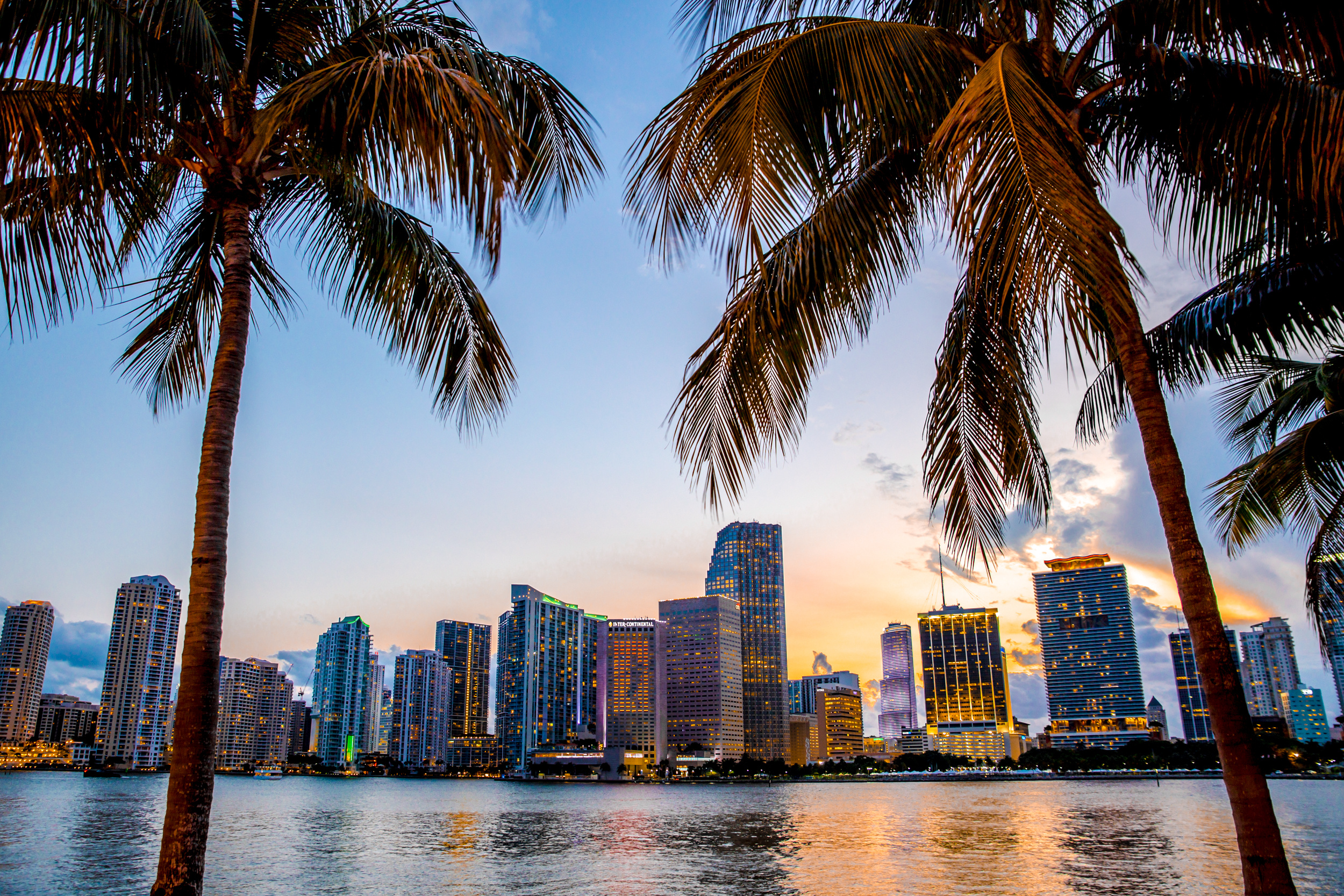 A view of the Miami Florida skyline through 2 palm trees